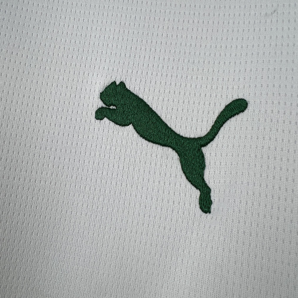 2026/2027 Palmeiras Away Kit