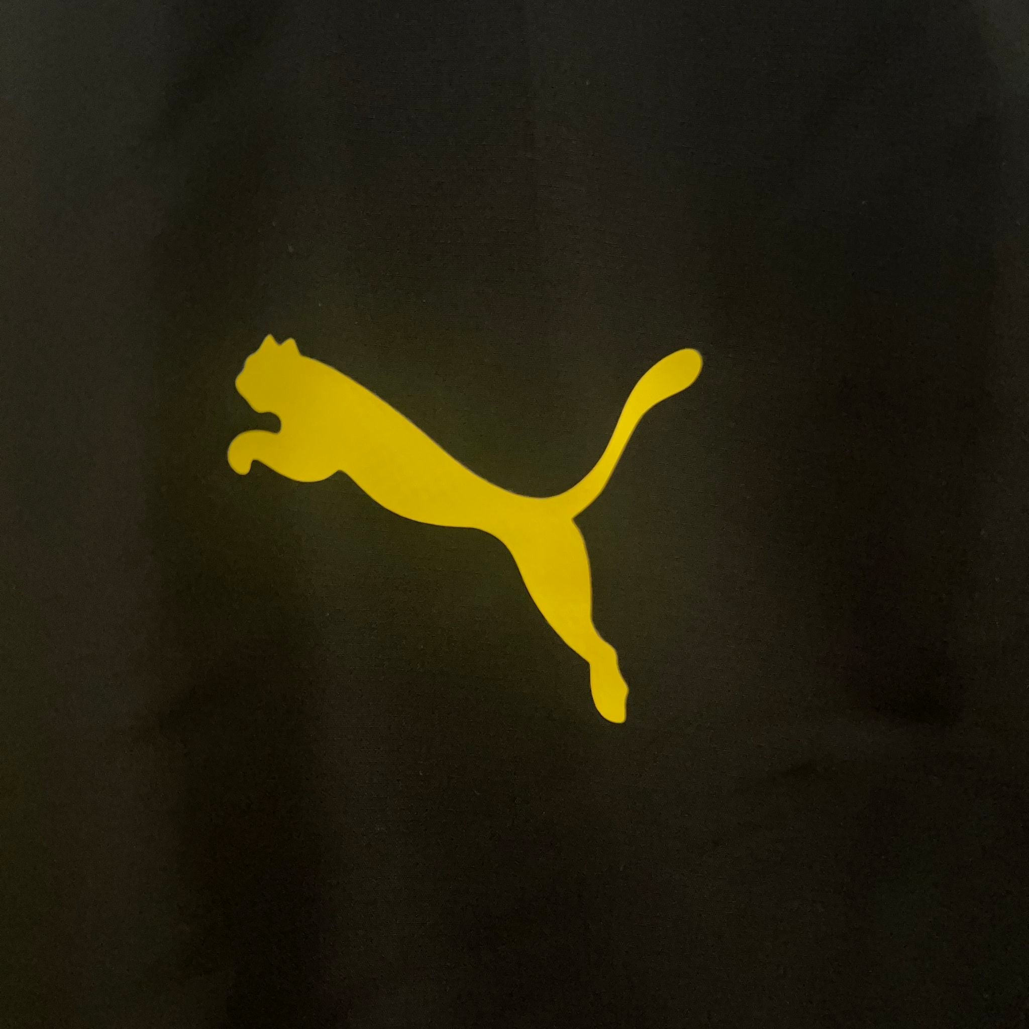 Cortavientos Borussia Dortmund