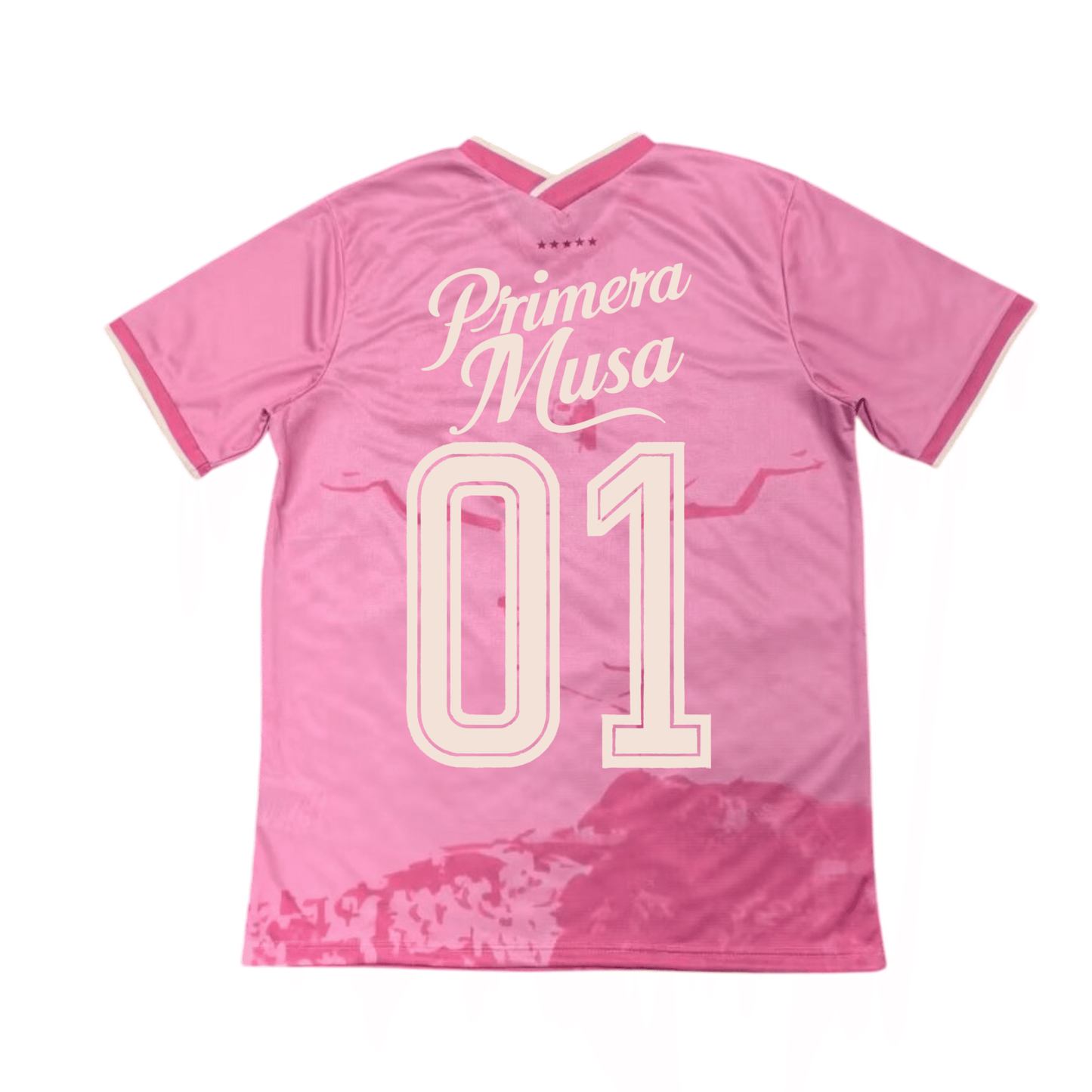 Omar Courtz x Brasile in rosa