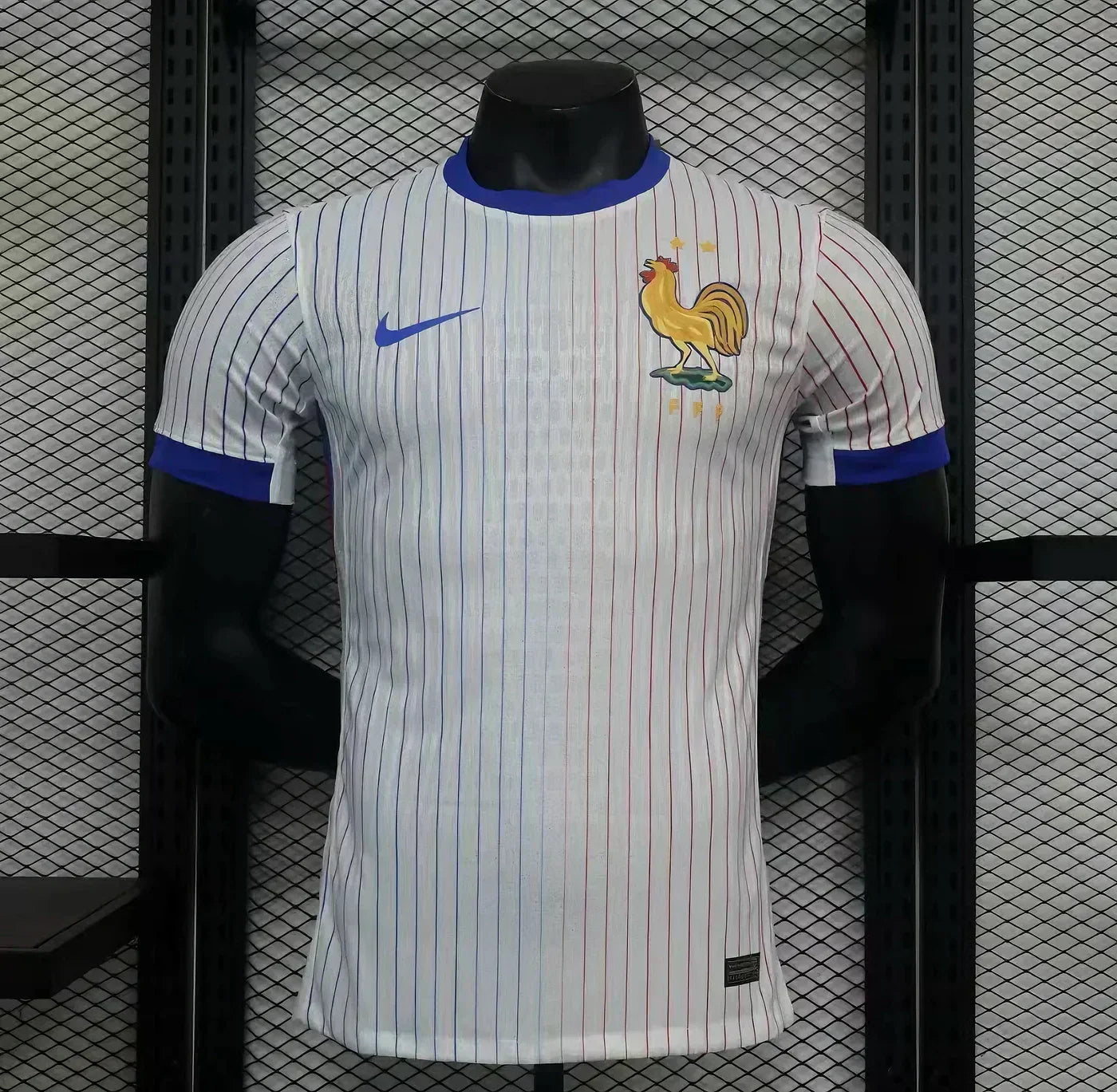 France 2024/2025 Visitante Kit