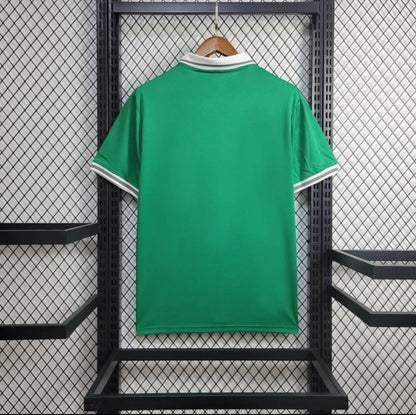 Camiseta Nigeria Visitante 24/25