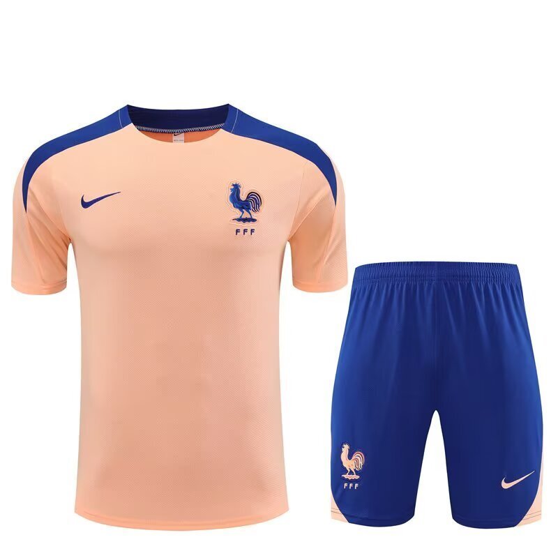 2025/2026 Francia Equipación de Entrenamiento