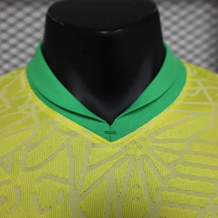 Brasil 2024 Local Kit